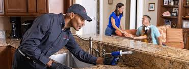 Reliable Thomaston, GA Pest Control Solutions